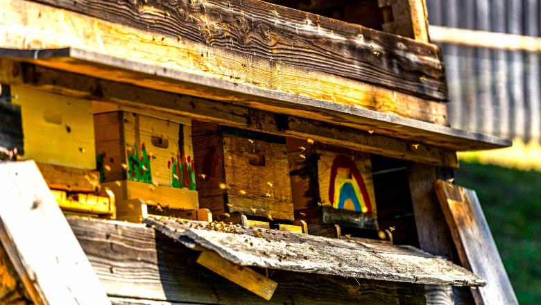 Hof eigener Honig und Blüten Bestäubung, © Einkehrhof Poggau Hof eigener Honig und Blüten Bestäubung, © Einkehrhof Poggau