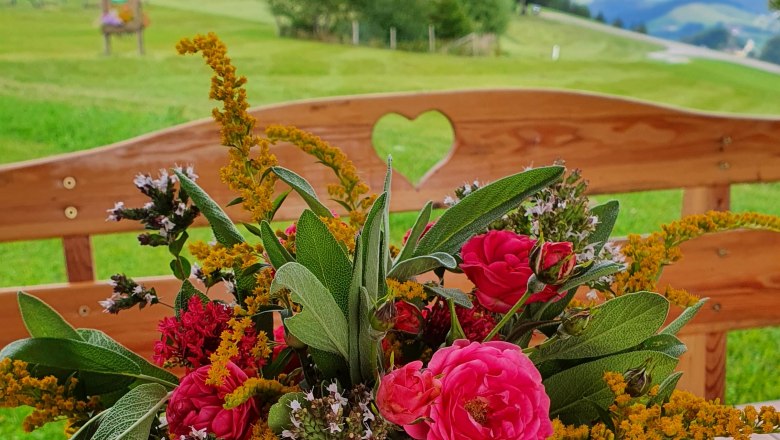 Ausblick von der Hausbank, © Melanie Schweighuber Ausblick von der Hausbank, © Melanie Schweighuber