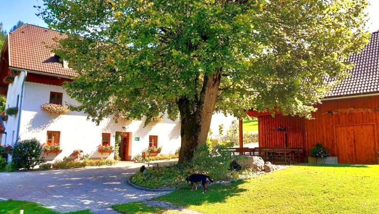 Urlaub am Bauernhof-Oberrehau, © Andrea Kronsteiner Urlaub am Bauernhof-Oberrehau, © Andrea Kronsteiner