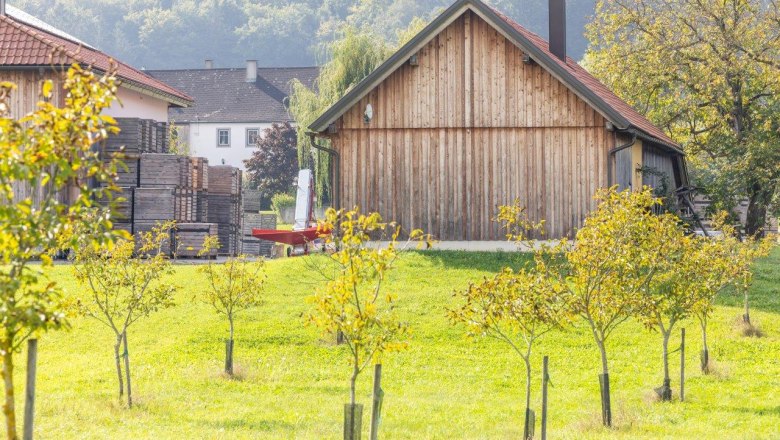 NUSSLAND, die Nussknacker die veredeln, © Theo Kust NUSSLAND, die Nussknacker die veredeln, © Theo Kust