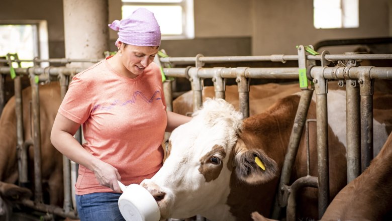 ferienhaus-lenzau, © Ferienhaus Lenzau ferienhaus-lenzau, © Ferienhaus Lenzau