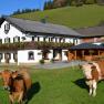 Biohof Moas im Sommer, © zVg Ein traditionelles Bauernhaus mit Blumenschmuck und zwei Kühen auf einer grünen Wiese im Vordergrund.
