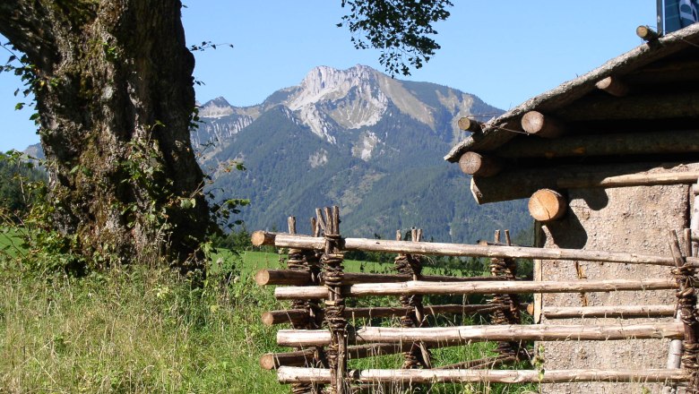 Voralpe, © Naturpark Eisenwurzen Berglandschaft mit Holzzaun und Baum im Vordergrund.