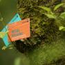 Die Ferienwohnung Leitner ist ein Wilde Wunder Card-Gastgeber., © Mostviertel Tourismus GmbH Die Ferienwohnung Leitner ist ein Wilde Wunder Card-Gastgeber., © Mostviertel Tourismus GmbH