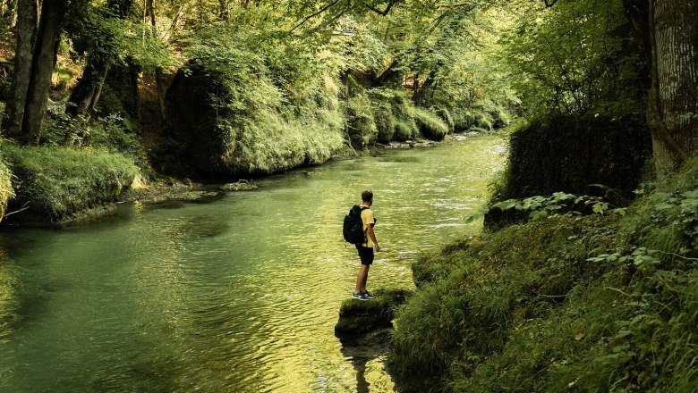 Erlaufschlucht, Mostviertel, © Niederösterreich Werbung/Lukas Matocha Die sanften Wellen des klaren Wassers spiegeln die üppige grüne Umgebung wider, während ein Wanderer auf einem Felsen steht und die Ruhe der Natur genießt. Umgeben von hohen Bäumen und dem sanften Plätschern des Flusses, lädt dieser Ort dazu ein, die Seele baumeln zu lassen und die Schönheit der Landschaft zu erleben.