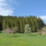 Landschaft hinter dem Haus, © Patrick Leitner Landschaft hinter dem Haus, © Patrick Leitner