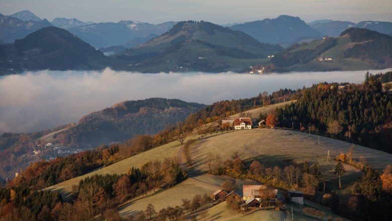 Wiesberg, © schwarz.koenig.at Wiesberg, © schwarz.koenig.at