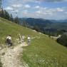 Wandern am Ötscher, © zVg Wandern am Ötscher, © zVg