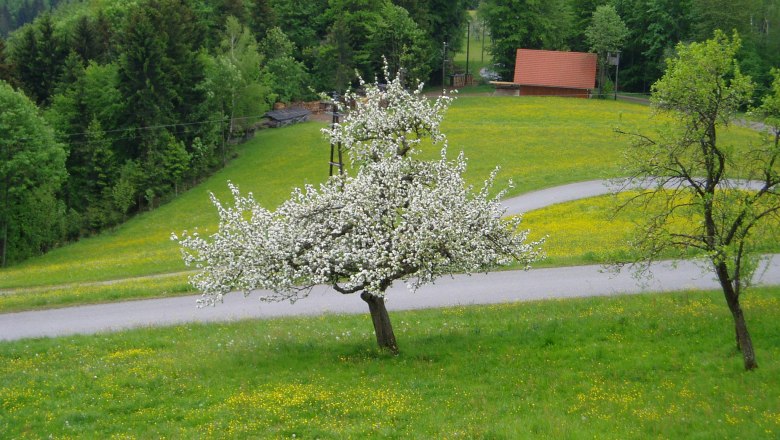 Himbrechtsöd, © Himbrechtsöd Himbrechtsöd, © Himbrechtsöd