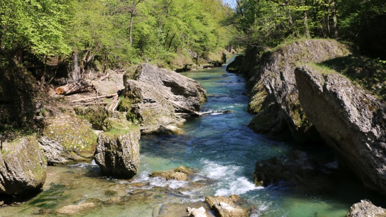 Erlaufschlucht, © Franz Wiesenhofer Erlaufschlucht, © Franz Wiesenhofer