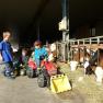 Kerndlerhof Kinder im Stall, © Kerndlerhof Kerndlerhof Kinder im Stall, © Kerndlerhof