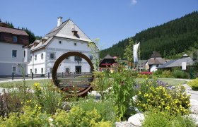 Hörsessel Amonpark Lunz am See, © Marktgemeinde Lunz am See Hörsessel Amonpark Lunz am See, © Marktgemeinde Lunz am See