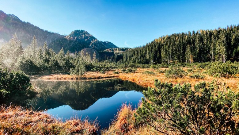 Naturschutzgebiet Leckermoor, © Heidi Zettel Naturschutzgebiet Leckermoor, © Heidi Zettel