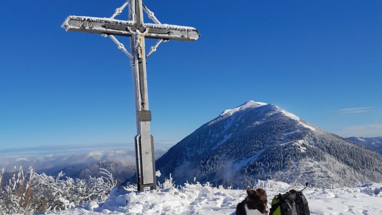 Winter in Lackenhof, © Haus Kölch Winter in Lackenhof, © Haus Kölch