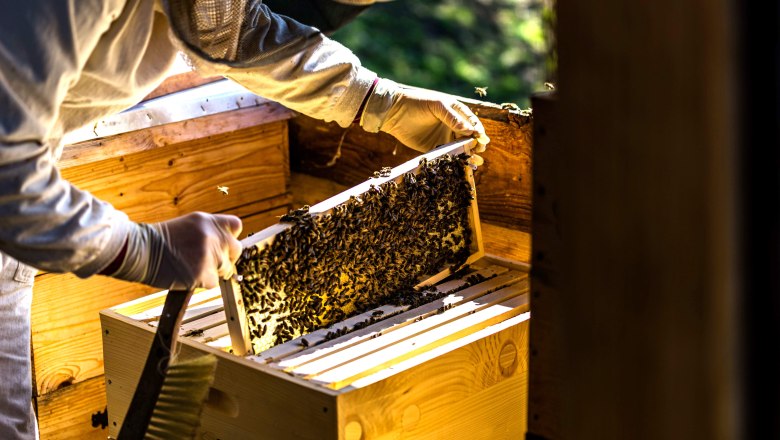 Julia die Imkerin, © Einkehrhof Poggau Julia die Imkerin, © Einkehrhof Poggau