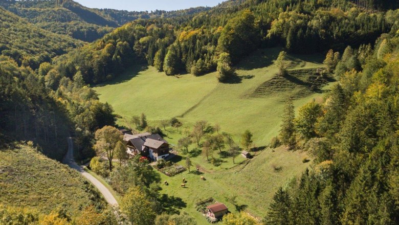 biohof_lueg_mitten_im_wald, © zVg Fam. Fallmann biohof_lueg_mitten_im_wald, © zVg Fam. Fallmann