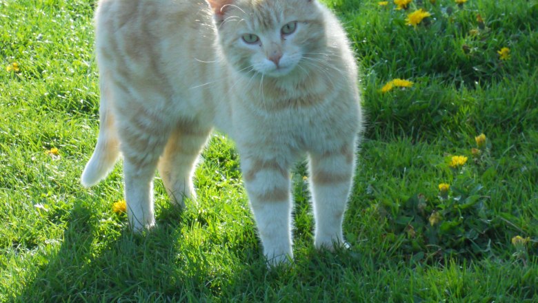 Himbrechtsöd, © Himbrechtsöd Himbrechtsöd, © Himbrechtsöd