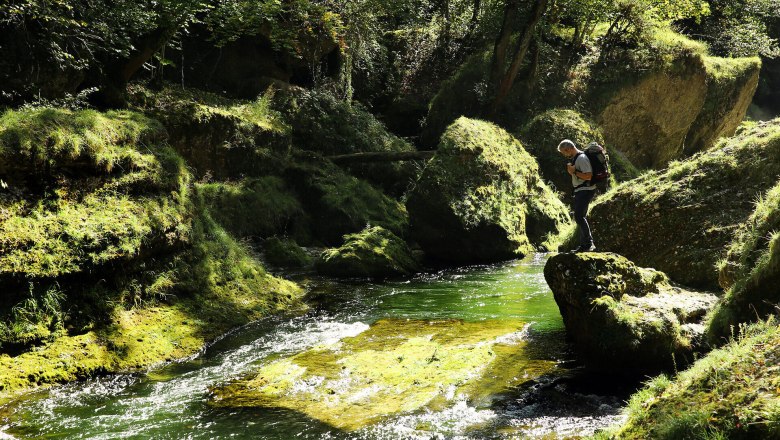 Via Aqua, Weitwandern, Wandern am Wasser, Erlaufschlucht, Purgstall, Erlauf, © Mostviertel Tourismus, weinfranz.at Die sanften Wellen des klaren Wassers plätschern leise über die moosbedeckten Steine, während die üppige Vegetation die Umgebung in ein grünes Paradies verwandelt. Ein Wanderer genießt die friedliche Atmosphäre und die erfrischende Brise, die durch die Bäume weht.