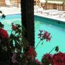 Pool Hotel Waldesruh, © Hotel Waldesruh Pool Hotel Waldesruh, © Hotel Waldesruh