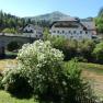 Aussicht aus dem Ferienhaus, © Margarete Tazreiter Aussicht aus dem Ferienhaus, © Margarete Tazreiter