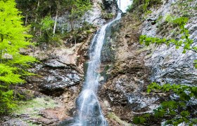 Ein Wasserfall flie&szlig;t &uuml;ber eine steinige Klippe, umgeben von gr&uuml;ner Vegetation.
