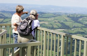 Aussicht vom Prochenberg, © weinfranz.at