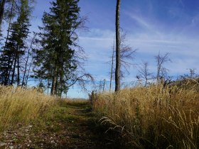 Aufstieg Richtung Sonnstein, &copy; Mostviertel