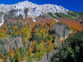 Die herbstlichen Farben der W&auml;lder erstrahlen in leuchtenden Gelb- und Rott&ouml;nen, w&auml;hrend die majest&auml;tischen Berge im Hintergrund eine beeindruckende Kulisse bieten. Ein sanfter Wind weht durch die B&auml;ume und tr&auml;gt den Duft von frischem Laub und Erde mit sich. Hier, in der unber&uuml;hrten Natur, findet man Ruhe und Inspiration.