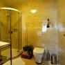 Modernes Badezimmer mit Dusche, WC und Pflanzen.