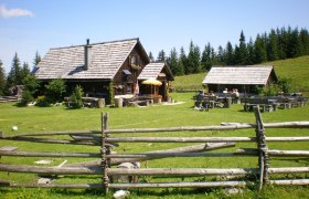 Haute Route 11. Etappe: G&ouml;stling &ndash; Hollenstein, &copy; Mostviertel