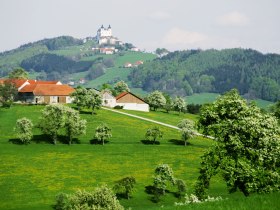 Blick in Richtung Basilika Sonntagberg, &copy; weinfranz.at
