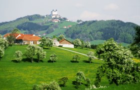 Blick in Richtung Basilika Sonntagberg, &copy; weinfranz.at