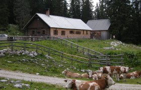 Hochkar - Ringkogel - Schwarzalm - Hochreit, &copy; Mostviertel