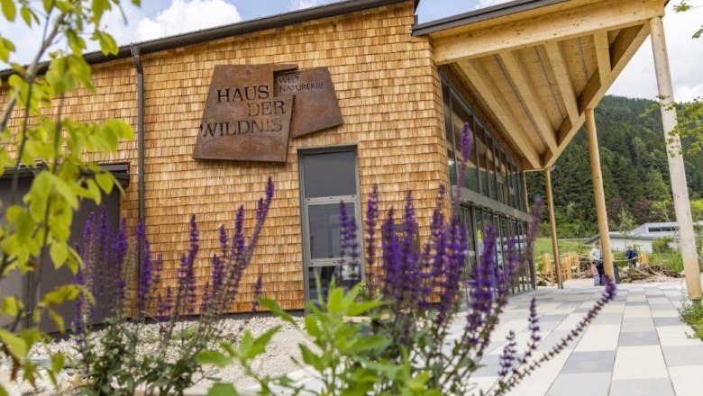 Haus der Wildnis, &copy; Haus der Wildnis