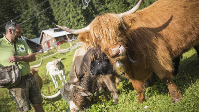 Hochkaralm, © Theo Kust