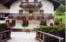 Ein weißes Haus mit Blumen an den Balkonen und einem Hund im Vordergrund.
