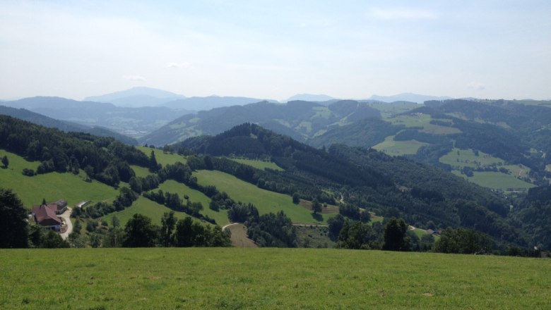 Panorama einer h&uuml;geligen Landschaft mit Wiesen und W&auml;ldern unter blauem Himmel.