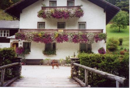 Ein weißes Haus mit Blumen an den Balkonen und einem Hund im Vordergrund.