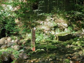 Steinbachquelle, &copy; Mostviertel