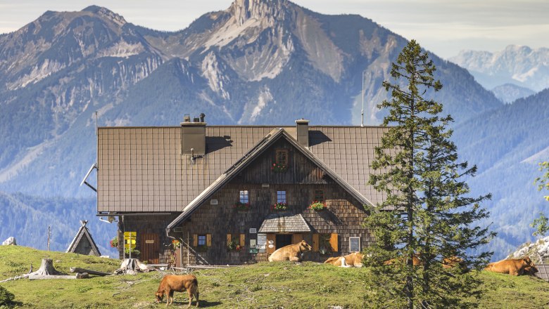 Ybbstalerhütte, © Theo Kust