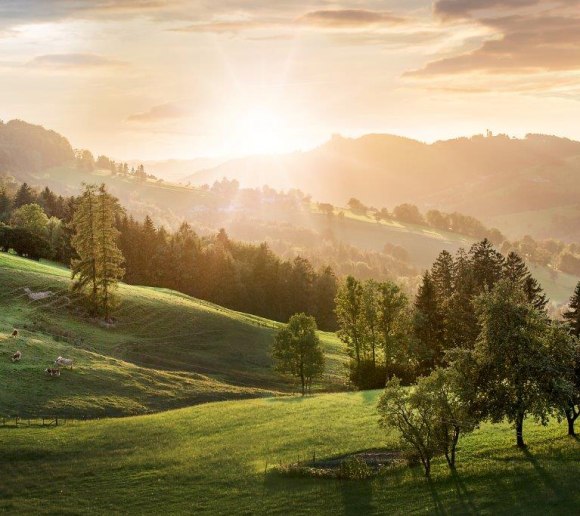 Ausblicke vom Panoramahöhenweg, © schwarz-koenig.at