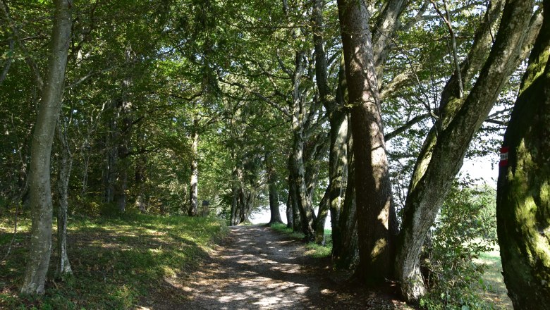 Das Sandlehen im Sommer, &copy; Michael Pichler