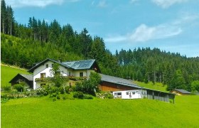 Bauernhof Seppenbauer im Sommer, © Augustine Ertelthalner