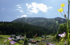 Berglandschaft mit Blumenwiese und Dorf im Vordergrund, Wald und Berg im Hintergrund.