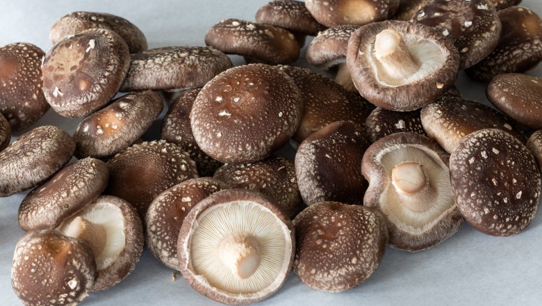 Kaiserschwammerl, &copy; Theo Kust