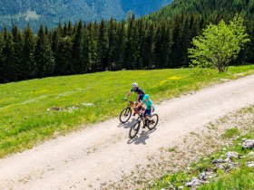 MTB_Genuss, &copy; Mostviertel