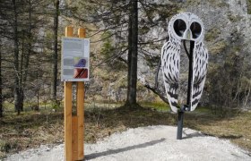 Eulenweg im Wildnisgebiet D&uuml;rrenstein, &copy; Reinhard Pekny