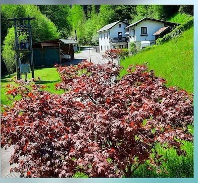 Ferienwohnung Schindlegger, © Familie Schindlegger Ein roter Ahornbaum im Vordergrund mit der Ferienwohnung Schindlegger und grüner Landschaft im Hintergrund.