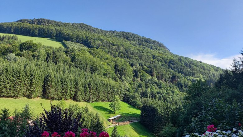 Aussicht Balkon, &copy; Reisenbichler