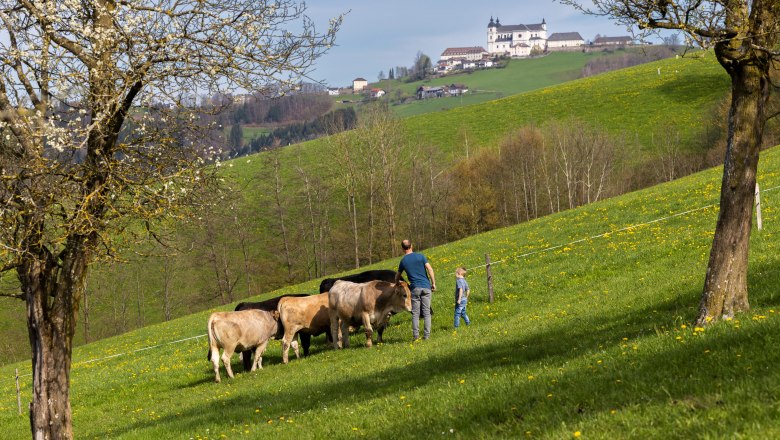 Biohof Zillach, &copy; Theo Kust